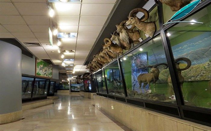فردا بازدید از موزه تنوع‌زیستی پردیسان رایگان است
