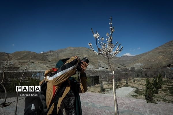 بازدید از بازسازی پل تاریخی کن