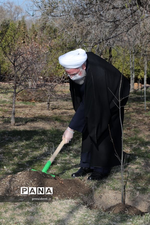 مراسم روز ملی درختکاری