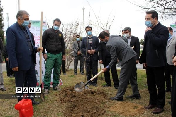 کاشت نهال به یاد زنان شهید، جانباز و آزاده مازندران