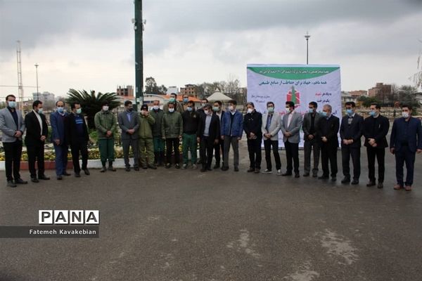 کاشت نهال به یاد زنان شهید، جانباز و آزاده مازندران