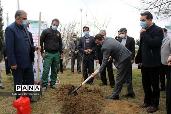 کاشت نهال به یاد زنان شهید، جانباز و آزاده مازندران