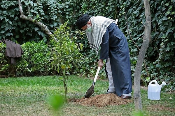 کاشت دو نهال میوه در روز درختکاری توسط رهبر انقلاب