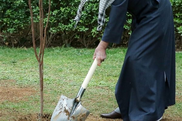 کاشت دو نهال میوه در روز درختکاری توسط رهبر انقلاب