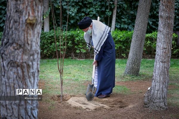 کاشت دو نهال میوه در روز درختکاری توسط رهبر انقلاب