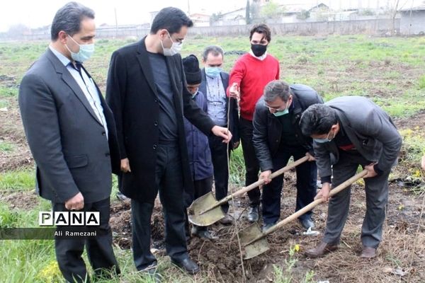 کاشت نهال در امامزاده صالح کوچکسرای قائم‌شهر