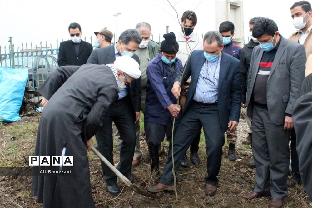 کاشت نهال در امامزاده صالح کوچکسرای قائم‌شهر