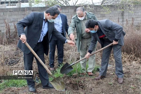 کاشت نهال در امامزاده صالح کوچکسرای قائم‌شهر