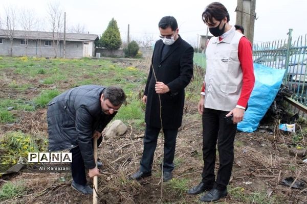 کاشت نهال در امامزاده صالح کوچکسرای قائم‌شهر