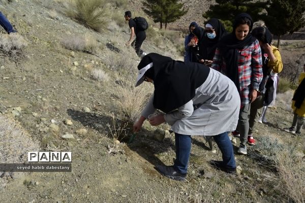 کاشت نهال توسط کوهنوردان نی ریزی بمناسبت روز درختکاری