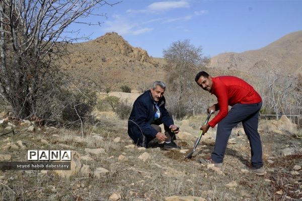 کاشت نهال توسط کوهنوردان نی ریزی بمناسبت روز درختکاری