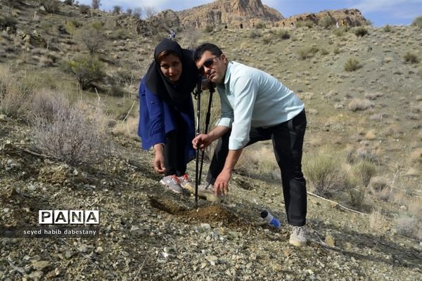 کاشت نهال توسط کوهنوردان نی ریزی بمناسبت روز درختکاری