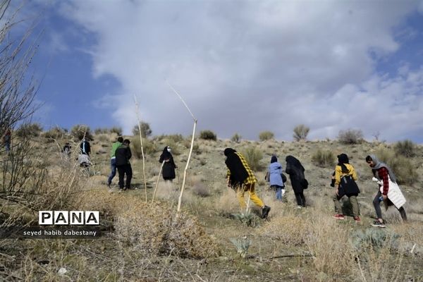 کاشت نهال توسط کوهنوردان نی ریزی بمناسبت روز درختکاری