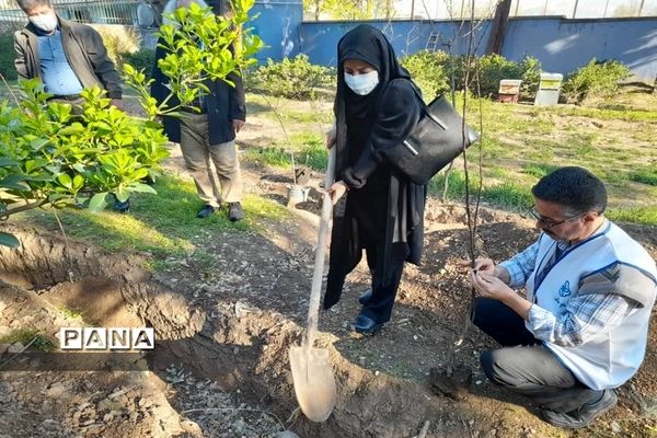 مراسم کاشت 66 درخت به یاد 66 شهید هنرستان ماندگار ایثار شریعتی منطقه 16