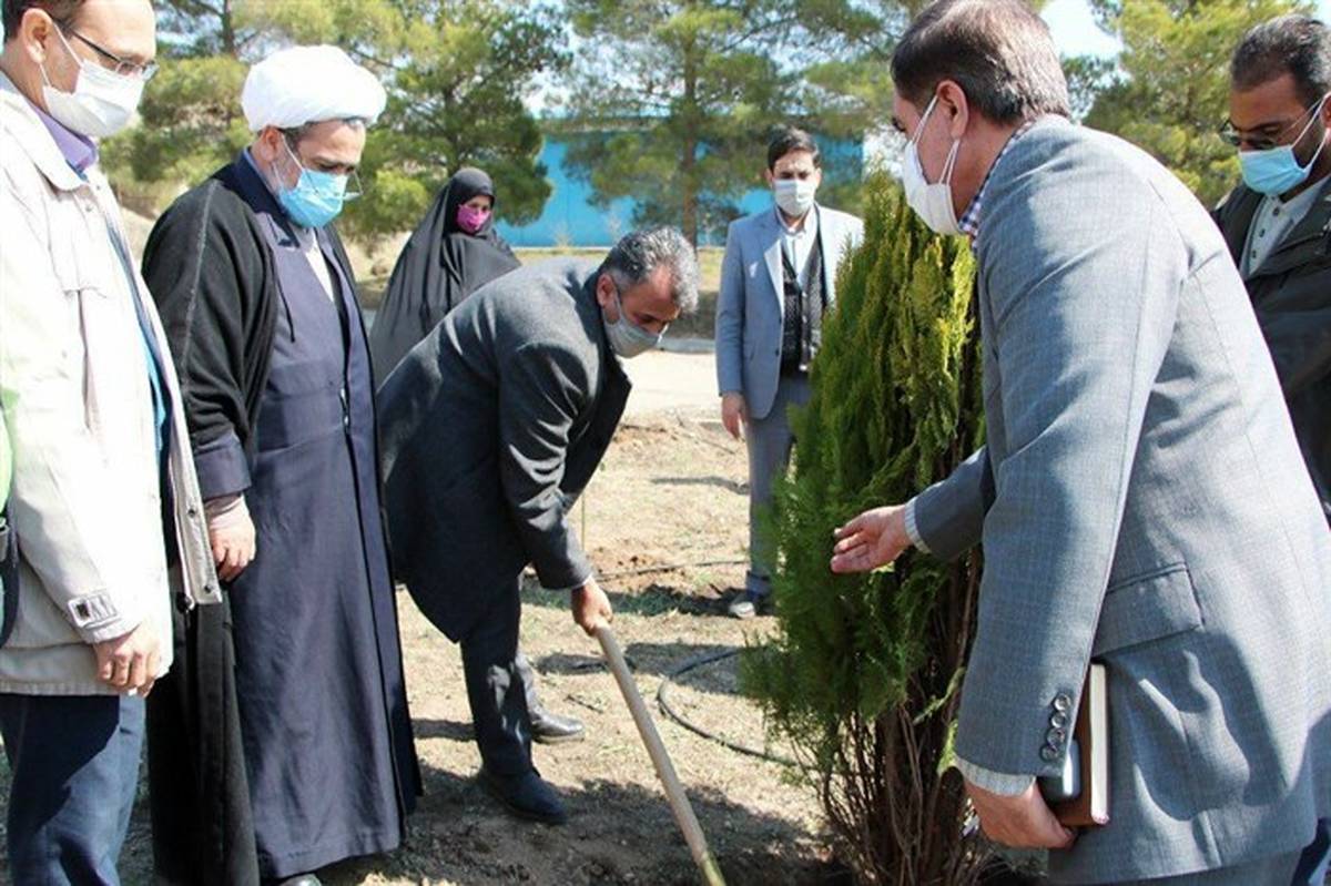 کاشت 1 هزار اصله نهال در اردوگاه دانش آموزی شهید بابایی قزوین