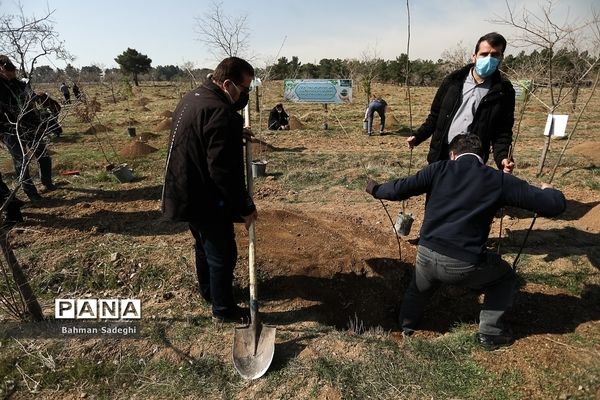 کاشت 1000 اصله نهال در روز درختکاری