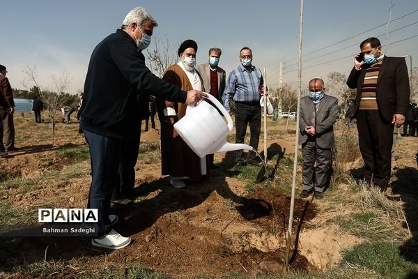 کاشت 1000 اصله نهال در روز درختکاری