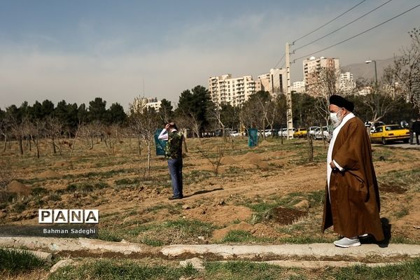 کاشت 1000 اصله نهال در روز درختکاری