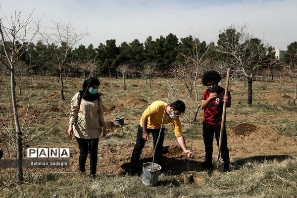کاشت 1000 اصله نهال در روز درختکاری