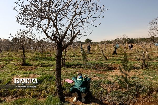 کاشت 1000 اصله نهال در روز درختکاری