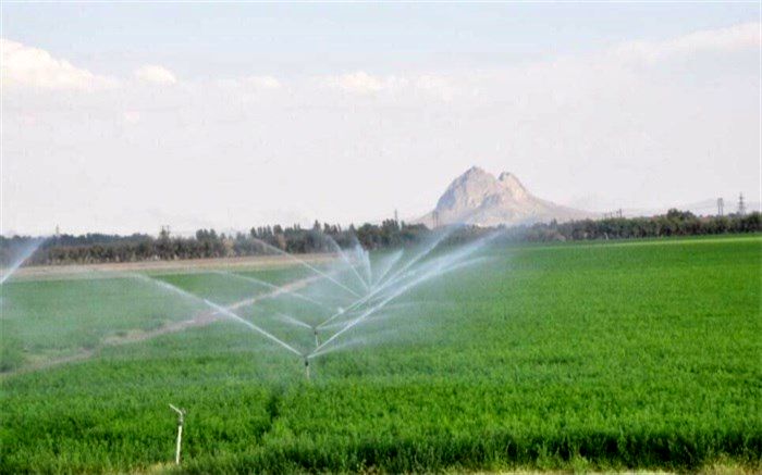 4400 هکتار  اراضی کشاورزی سیستان و بلوچستان  به سیستم نوین آبیاری مجهز شد