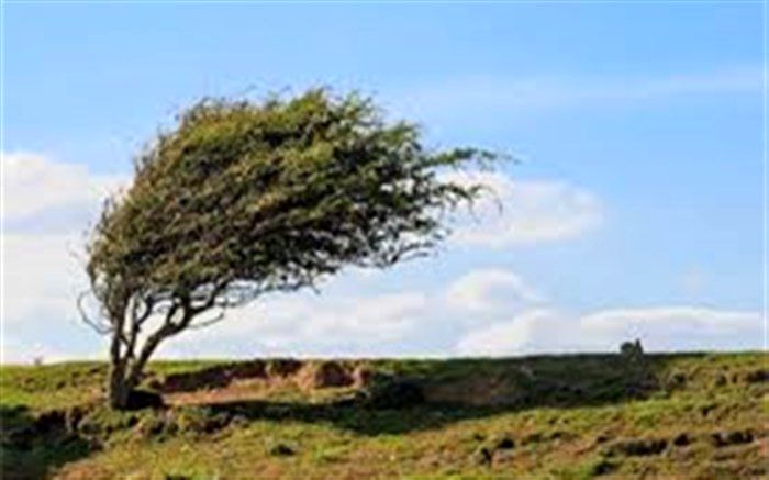 وزش باد شدید تا خیلی شدید در ۲۴ استان