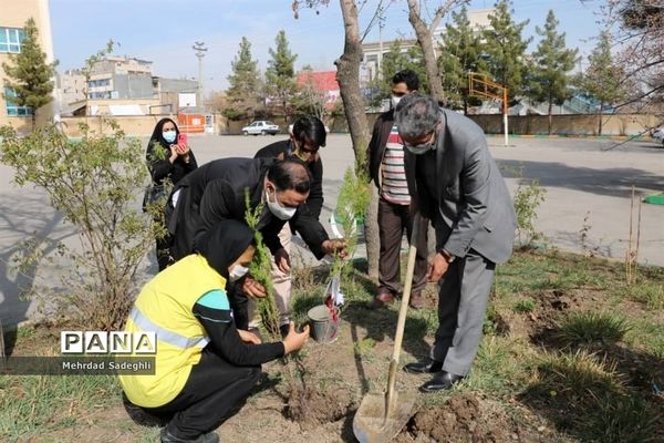 همایش استانی درختکاری توسط دانش آموزان ساعی در طرح ملی کوچ