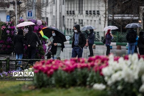 تهران بارانی در آخرین روزهای سال