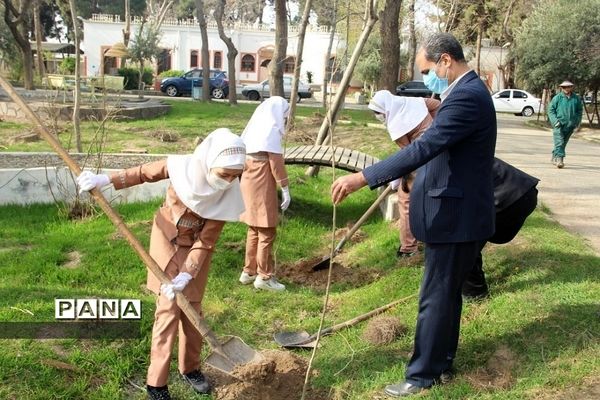 کاشت چند اصله نهال از سوی سازمان دانش‌آموزی جمهوری اسلامی