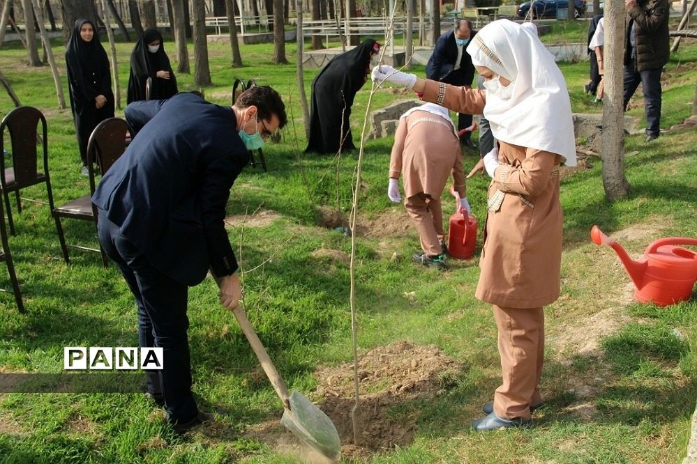 کاشت چند اصله نهال از سوی سازمان دانش‌آموزی جمهوری اسلامی