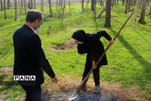 کاشت چند اصله نهال از سوی سازمان دانش‌آموزی جمهوری اسلامی