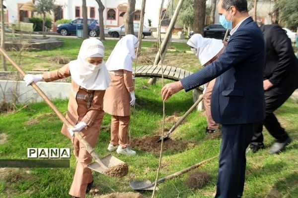 کاشت چند اصله نهال از سوی سازمان دانش‌آموزی جمهوری اسلامی