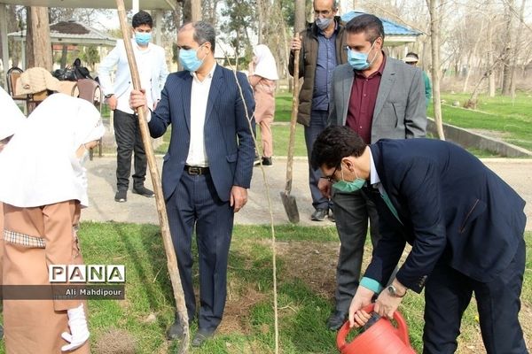 کاشت چند اصله نهال از سوی سازمان دانش‌آموزی جمهوری اسلامی