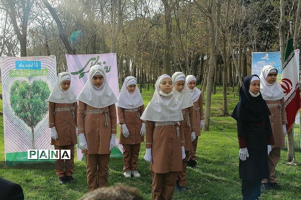 کاشت چند اصله نهال از سوی سازمان دانش‌آموزی جمهوری اسلامی