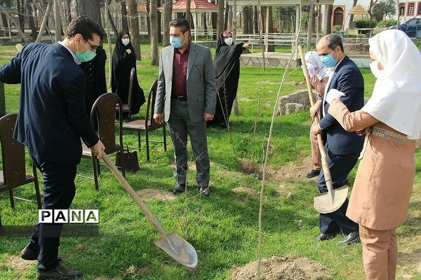 کاشت چند اصله نهال از سوی سازمان دانش‌آموزی جمهوری اسلامی