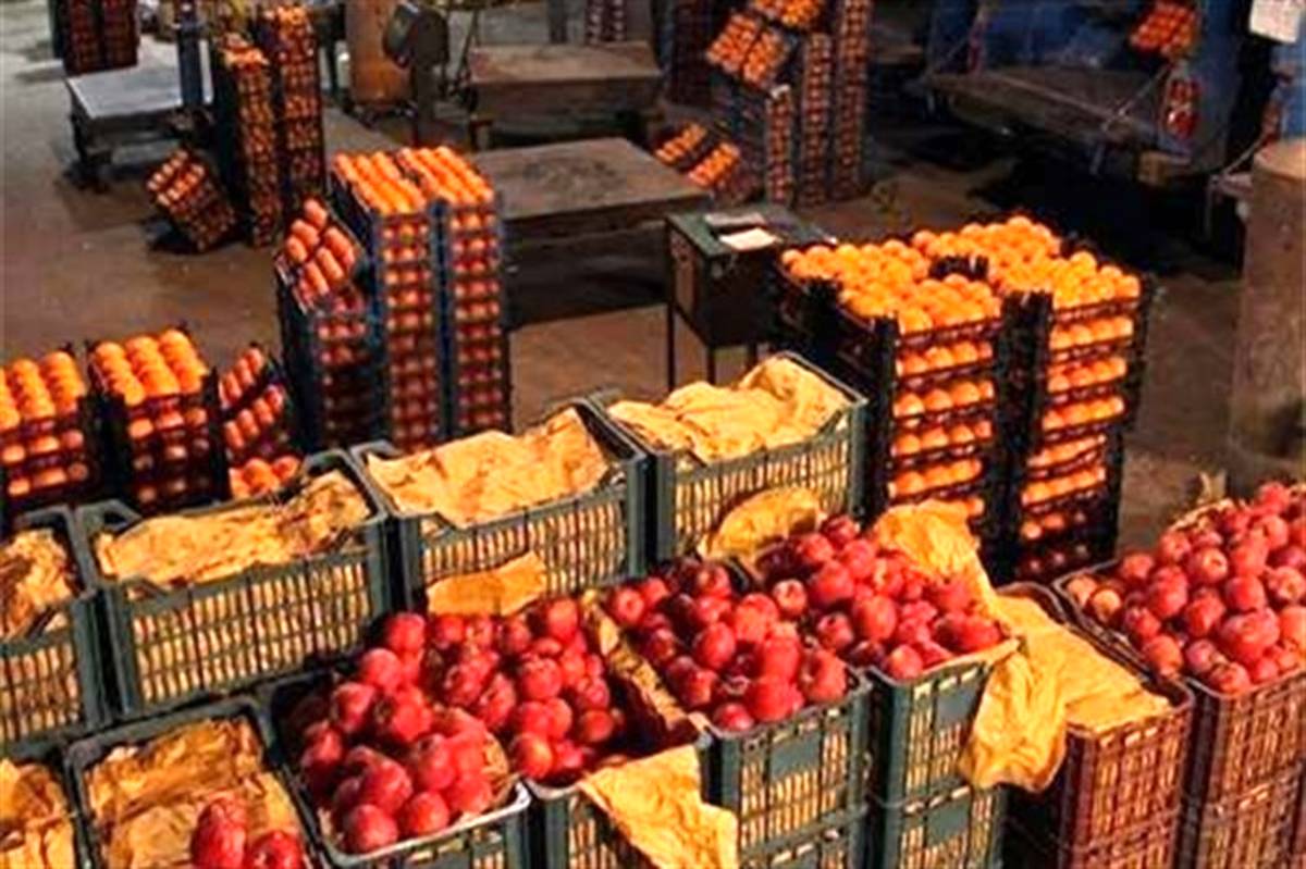 80 نقطه در استان تهران میوه شب عید را توزیع می کنند