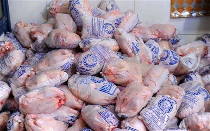 ۳۹۰ تن مرغ منجمد در سیستان وبلوچستان توزیع شد