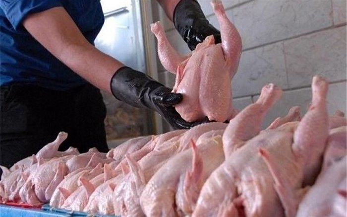دولت مصوبه واردات گوشت مرغ را ابلاغ کرد