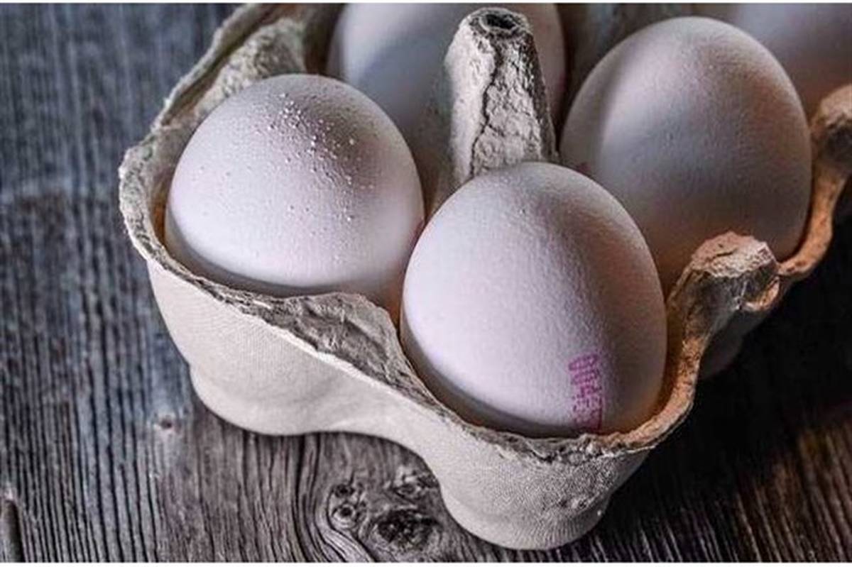 نکای که برای خرید و نگهداری تخم مرغ باید رعایت کنیم+اینفوگرافی