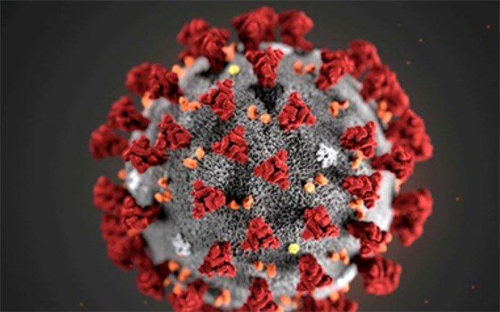 5 مورد مبتلای ویروس جهش یافته جدید در استان شناسایی شد