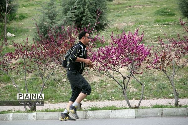 پارک پردیسان تهران میزبان پرواز بادبادک‌ها بر فراز آسمان