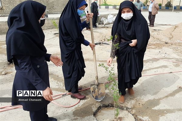 کاشت درخت به مناسبت آغاز بهار در شهرستان کارون