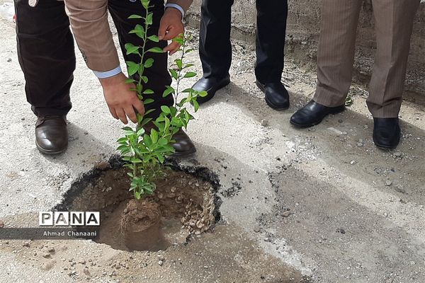 کاشت درخت به مناسبت آغاز بهار در شهرستان کارون