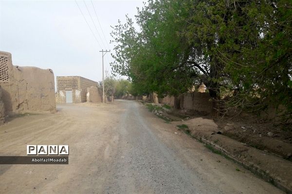 طبیعت  و بهاردر روستا های   شهرستان کاشمر