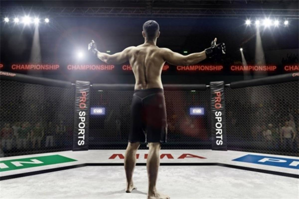 برای اولین بار در تاریخ؛ مجوز برگزاری مسابقات MMA در ایران صادر شد