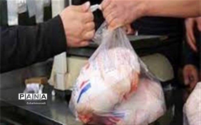 توزیع روزانه مرغ گرم در لنجان بیش از ۲ برابر نیاز شهرستان است