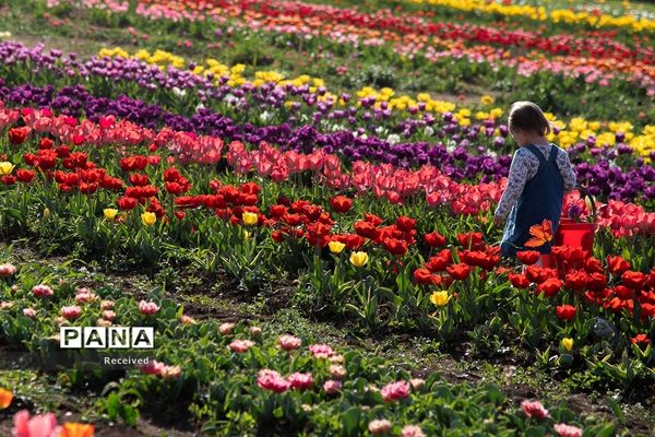 آغاز بهار در سراسر جهان