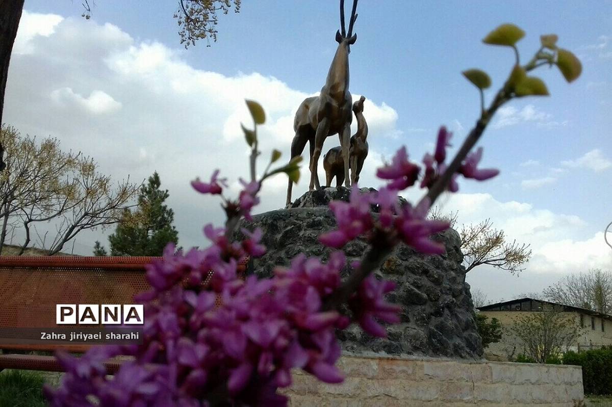 سفری به روستای کرشت