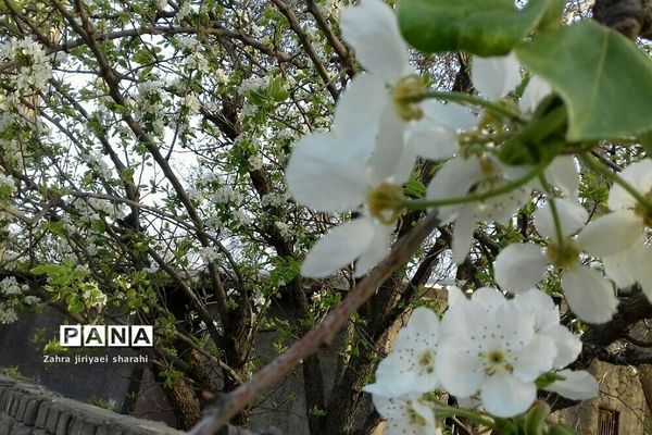 سفری به روستای کرشت