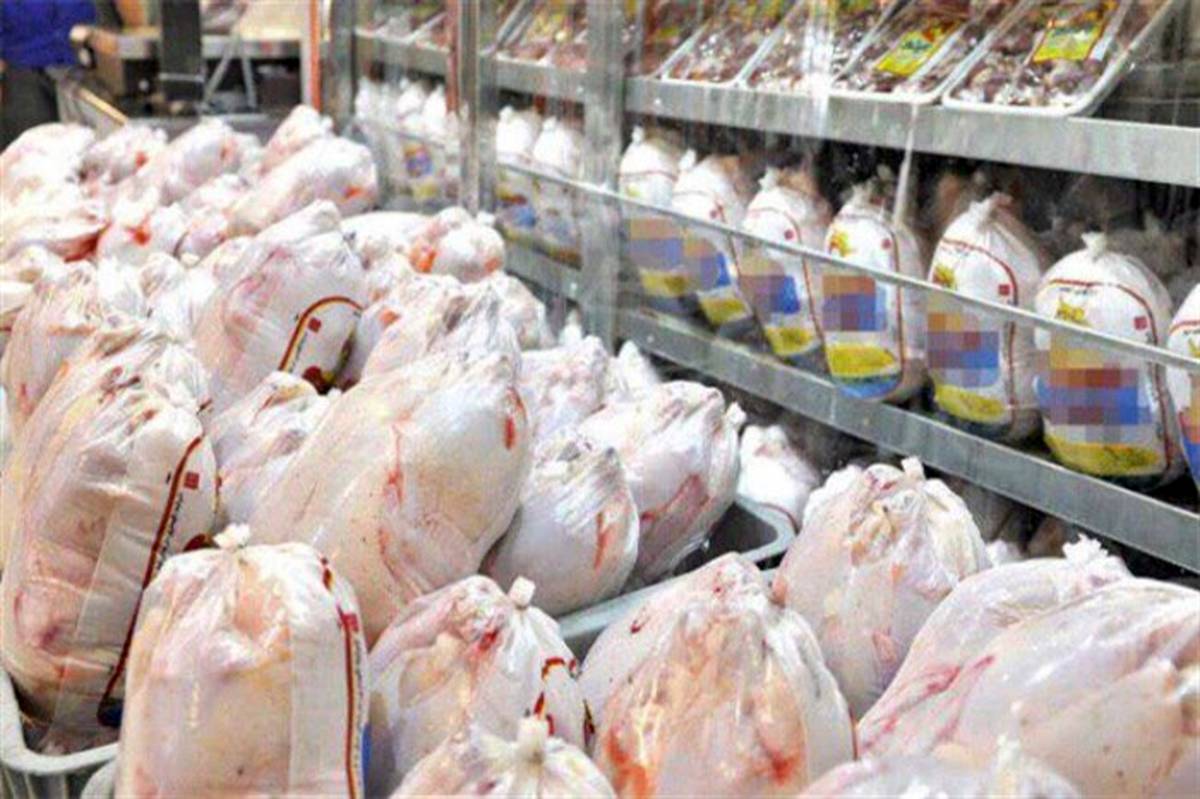 روزانه بیش از ٨٠ تن مرغ کشتار روز در سیستان و بلوچستان توزیع می‌شود 